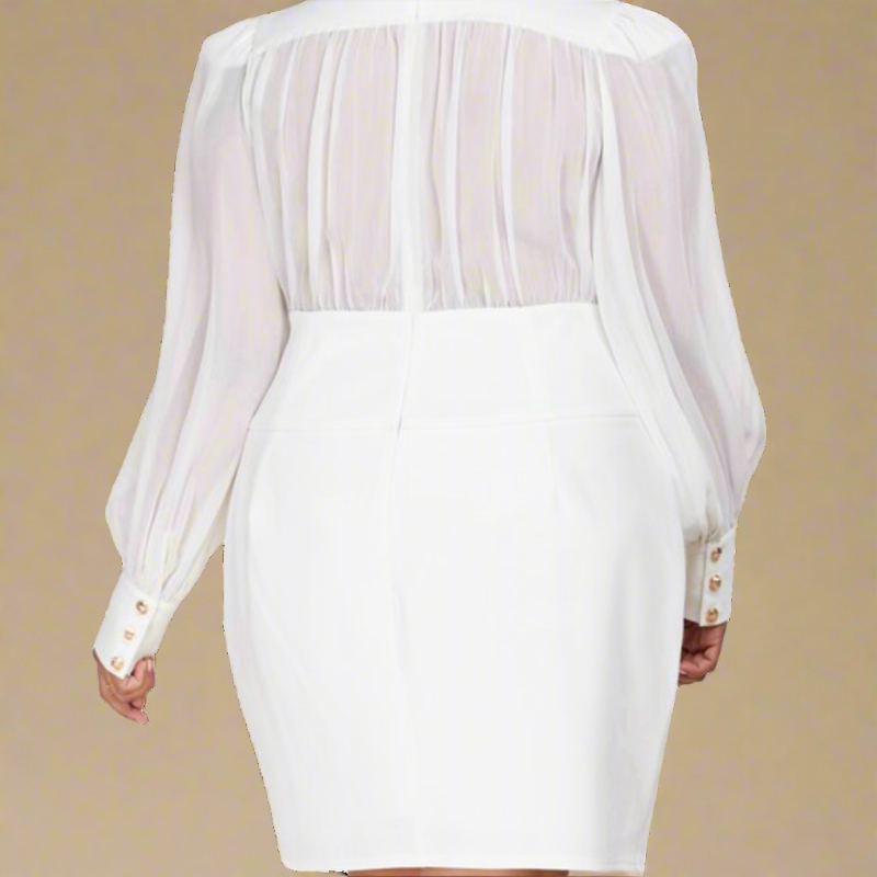Elegant curvy fashion with chiffon bodice and pencil skirt bottom. 